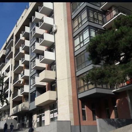 Sunny Apartment Ortachala Tbilisi Eksteriør billede